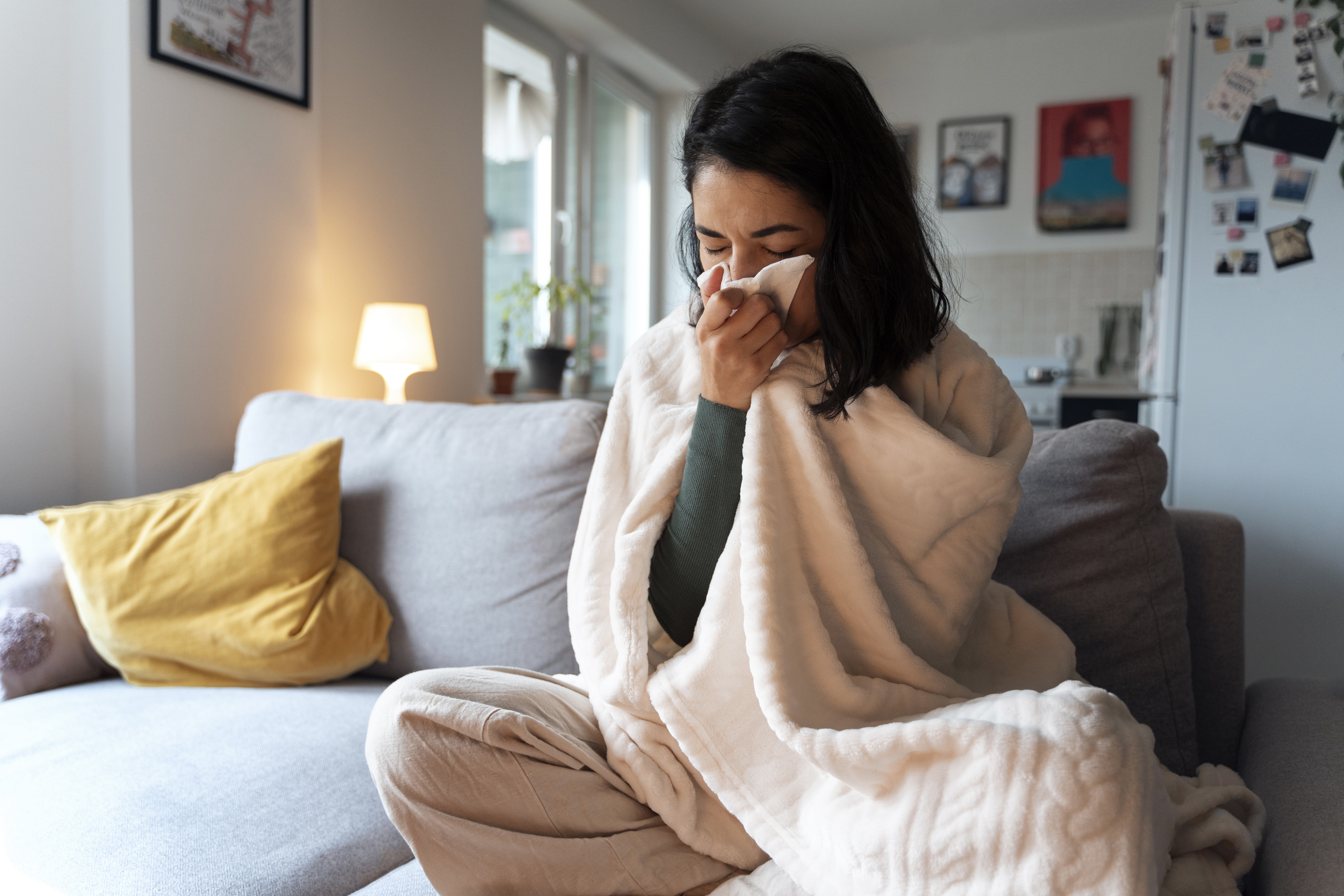 H1N1: Principais Informações sobre a Gripe Suína