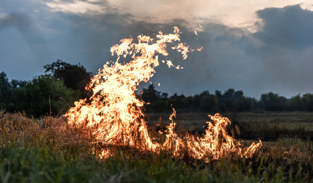 Fumaça das queimadas na Amazônia e riscos para a saúde