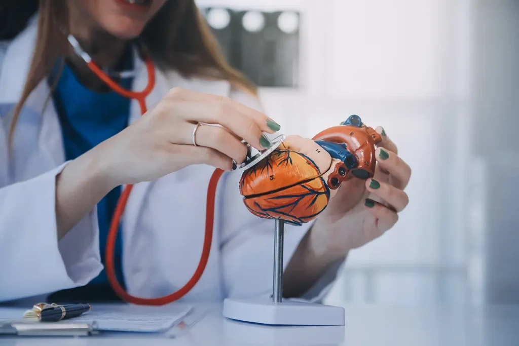 doctor explaining heart elderly patient doctor explaining heart model doctors pen point model heart Central de Consultas | Clínica Popular
