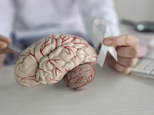 Médico com fita cinza e modelo de anatomia do cérebro humano. Tratamento de conscientização sobre o câncer cerebral com tumores cerebrais, trombose cerebral, demência, doença de Alzheimer, doença de Parkinson e saúde mental