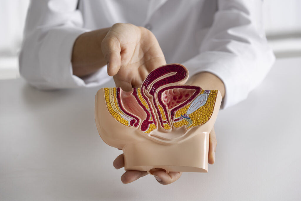 high angle doctor explaining anatomy Central de Consultas | Clínica Popular