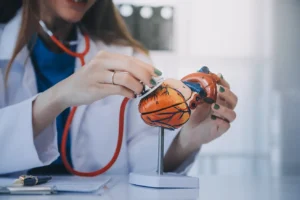 Cardiologia quando procurar um cardiologista
